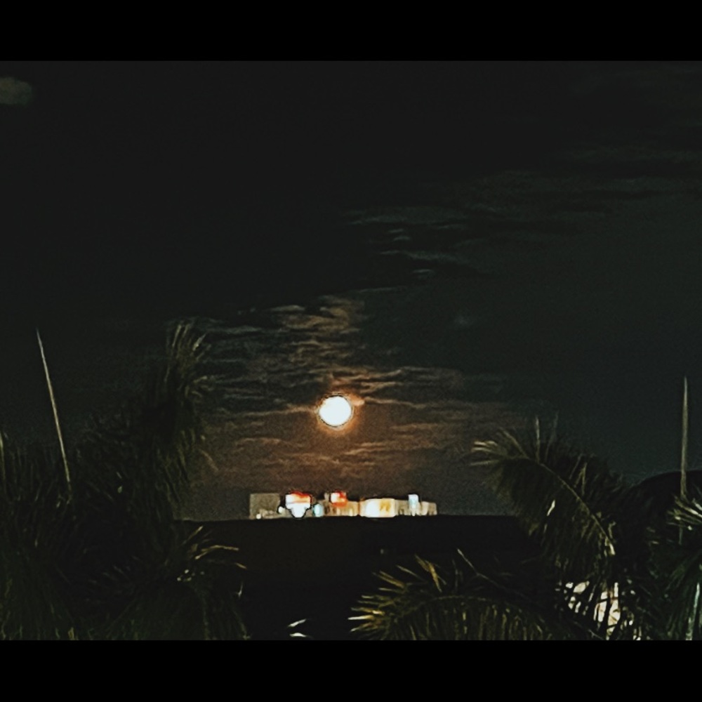 Meet your Posher, Sophia